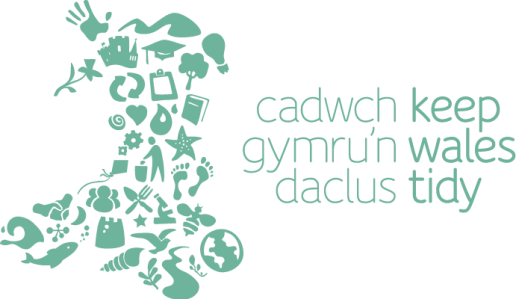 web designers cardiff keep wales tidy project 5