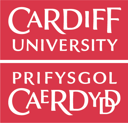 website design cardiff university of cardiff service 3